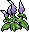 Purple Viola