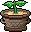 Flowerpot