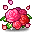 Petite Rose