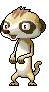 Meerkat