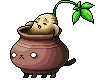 Lord Pirate's Enraged Ginseng Jar