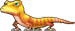 Yellow Lizard