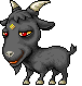 Black Goat