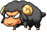 Black Sheep